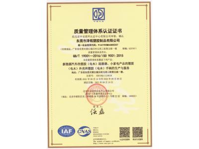 ISO9001(中文）